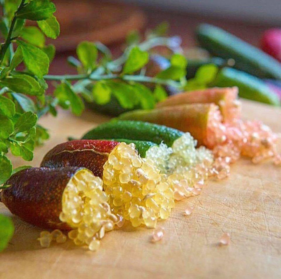 Finger Lime Seeds-Citrus Australasica