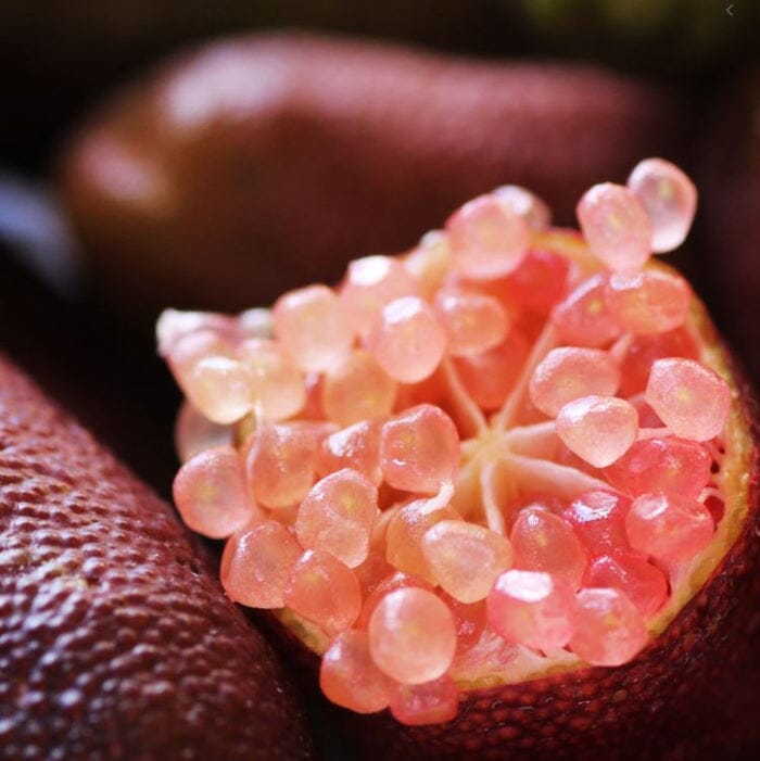 Finger Lime Seeds-Citrus Australasica