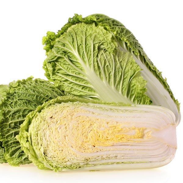 Cabbage Bilko F1 Organic