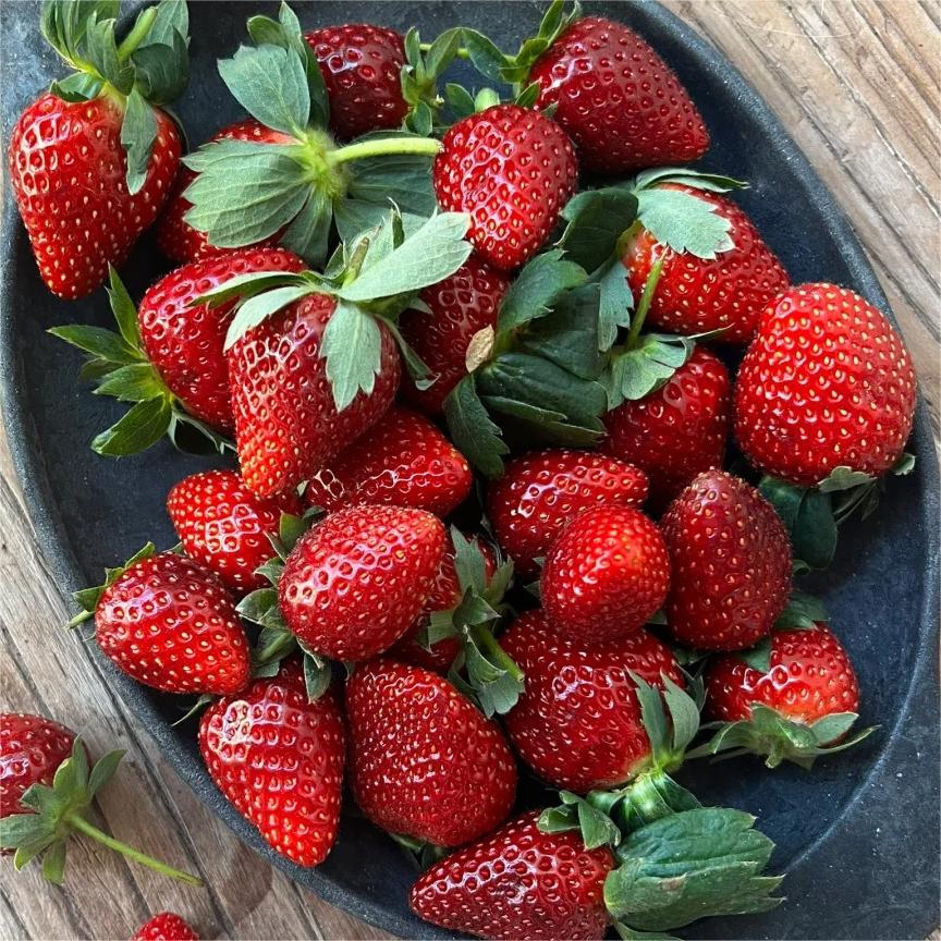 Black Pearl Strawberry Seeds