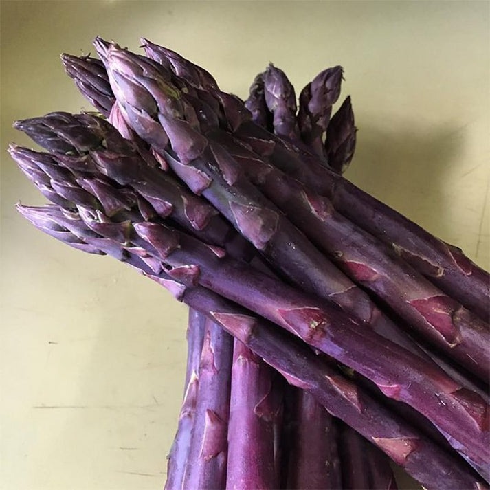 FOUR SEASONS ASPARAGUS MARY WASHINGTON SEEDS