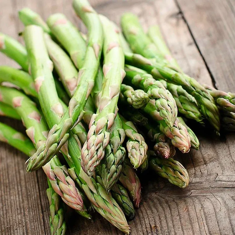 FOUR SEASONS ASPARAGUS MARY WASHINGTON SEEDS