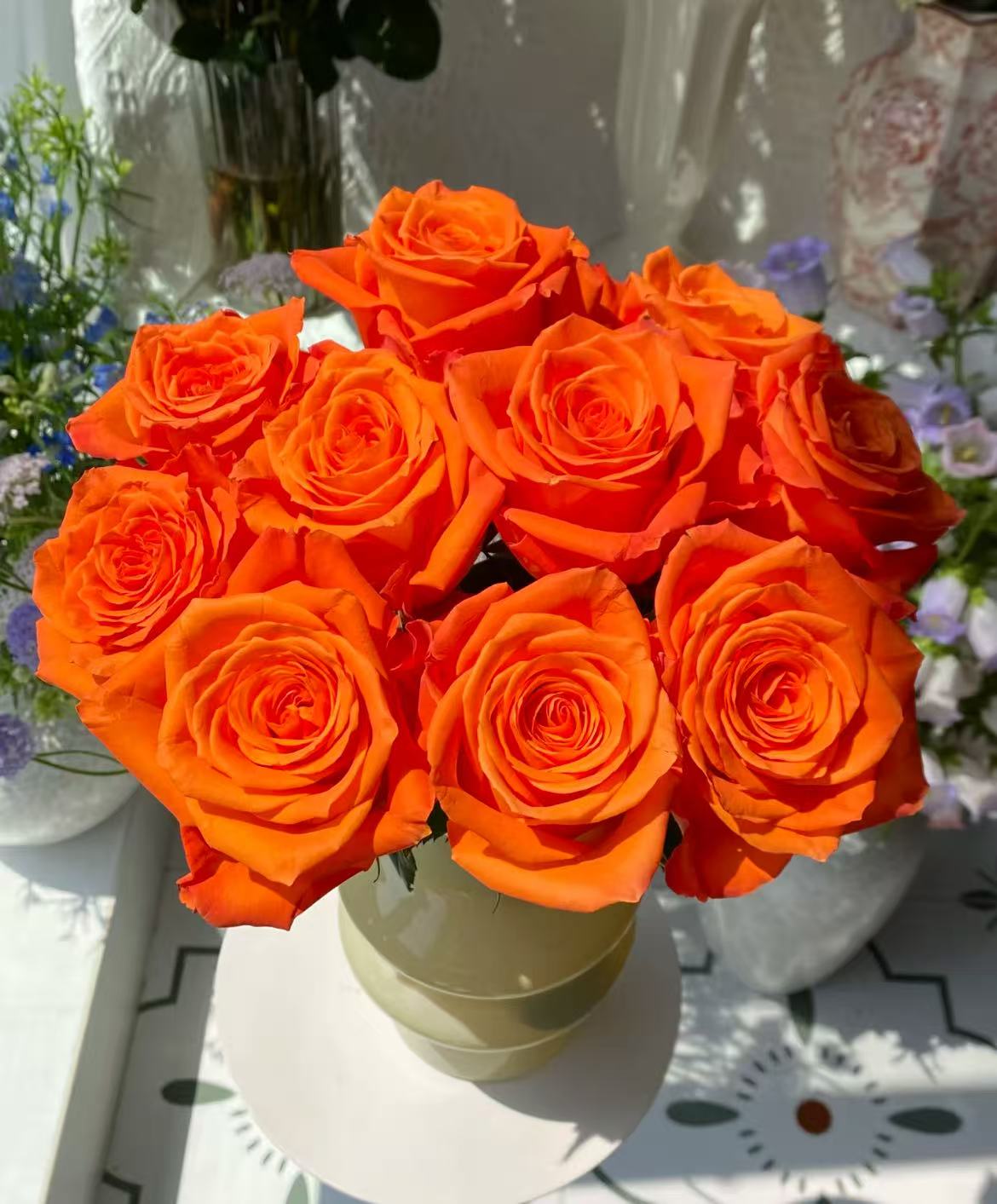 🌹 Hot-Selling Rose Seed Bundles – Special Discount
