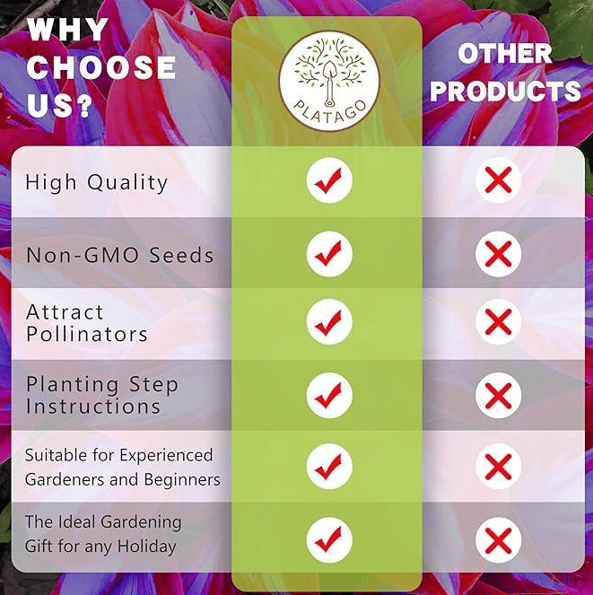 Rare Giant Tall Hosta Bulbs – Towering Elegance & Shade-Tolerant Beauty