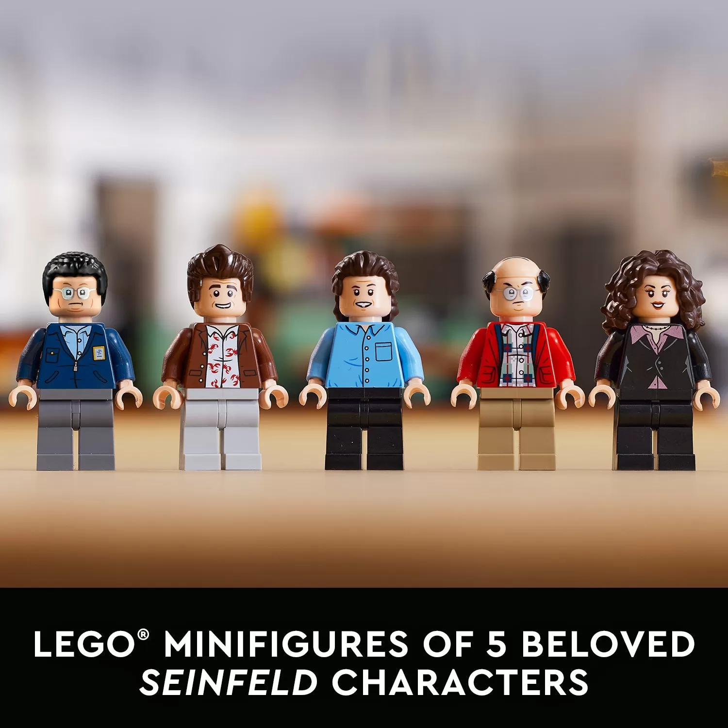 - 21328 SEINFELD