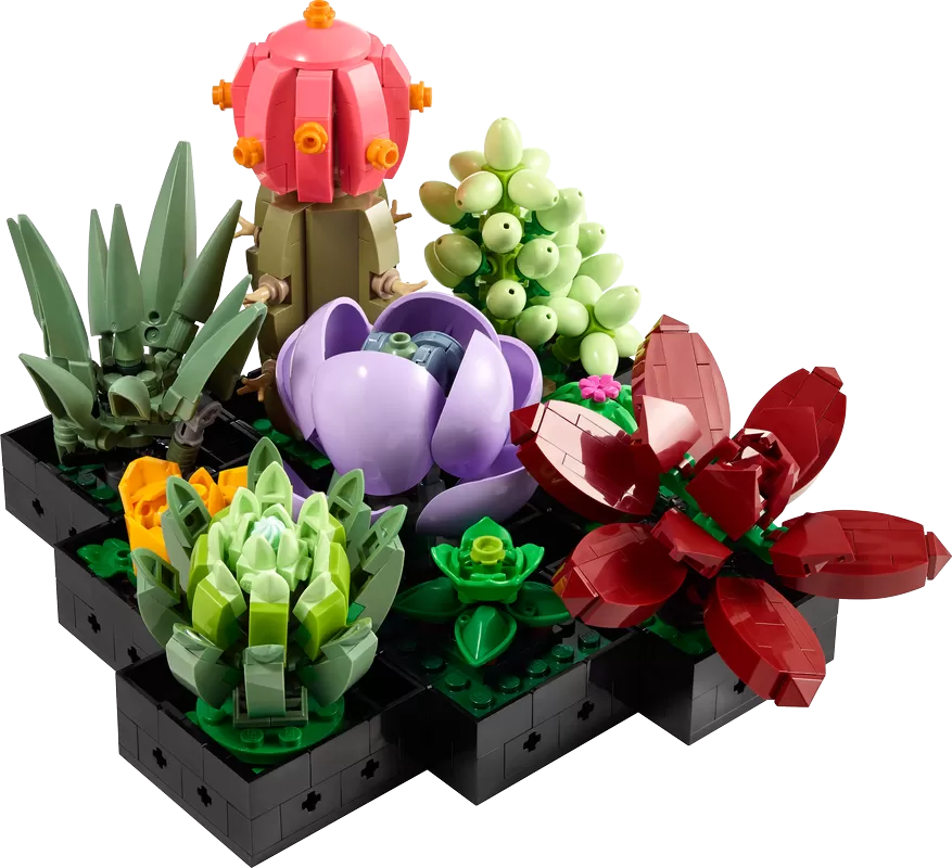 - SUCCULENTS 10309 PLANT DECOR BUILDING KIT