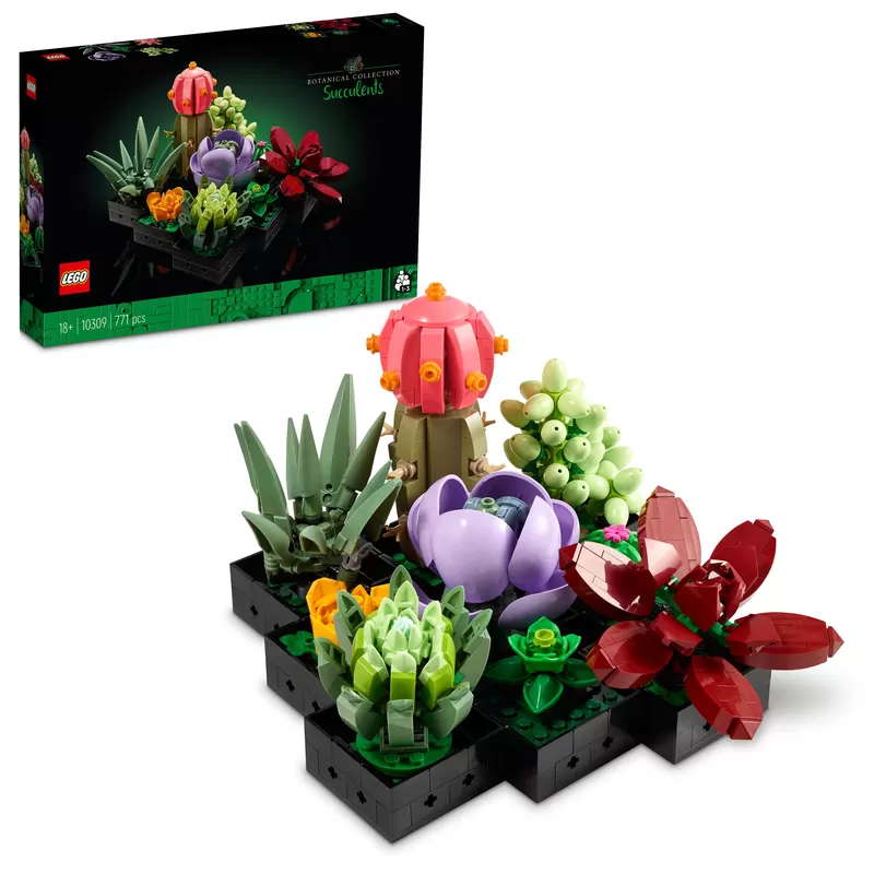 - SUCCULENTS 10309 PLANT DECOR BUILDING KIT