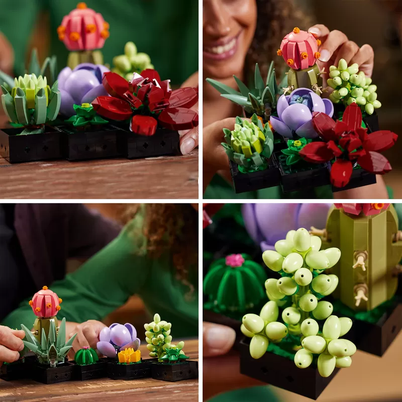 - SUCCULENTS 10309 PLANT DECOR BUILDING KIT