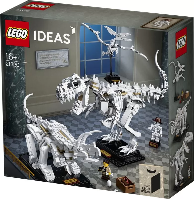 - 21320 IDEAS DINOSAUR FOSSILS