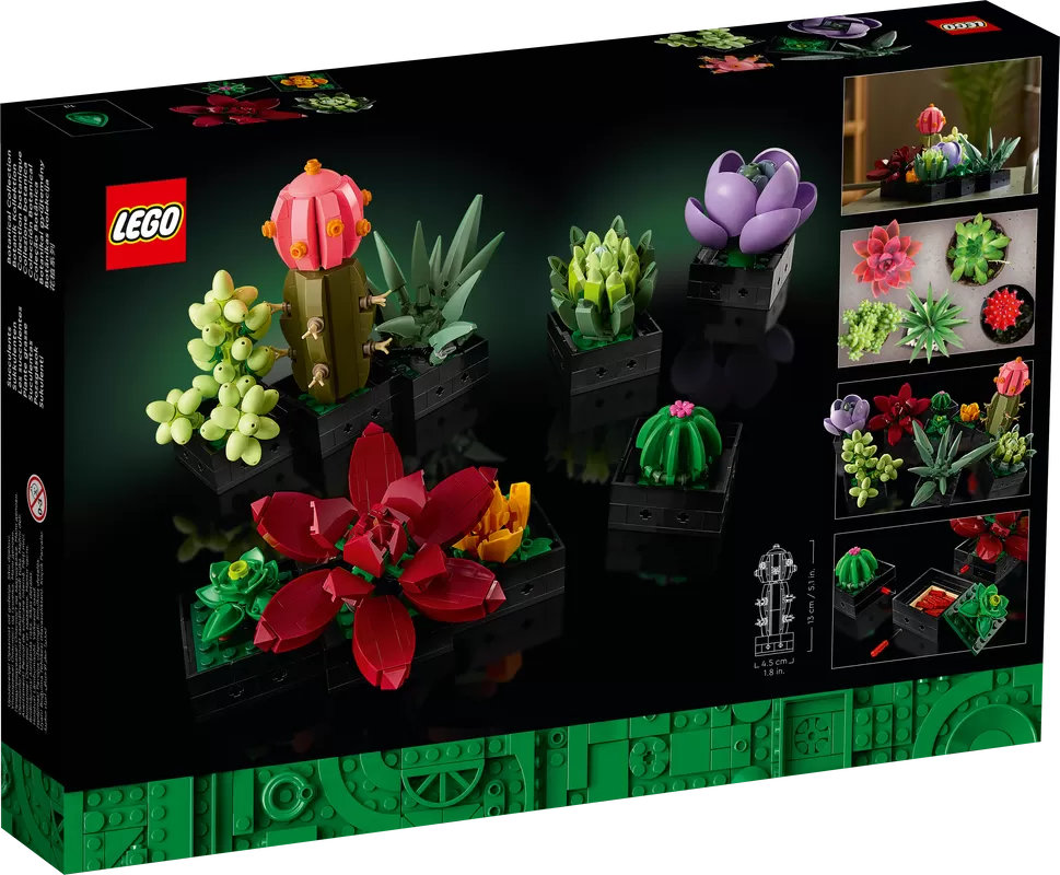 - SUCCULENTS 10309 PLANT DECOR BUILDING KIT