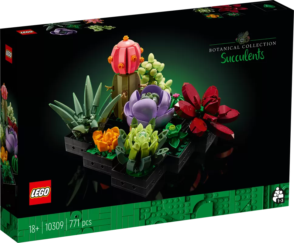 - SUCCULENTS 10309 PLANT DECOR BUILDING KIT