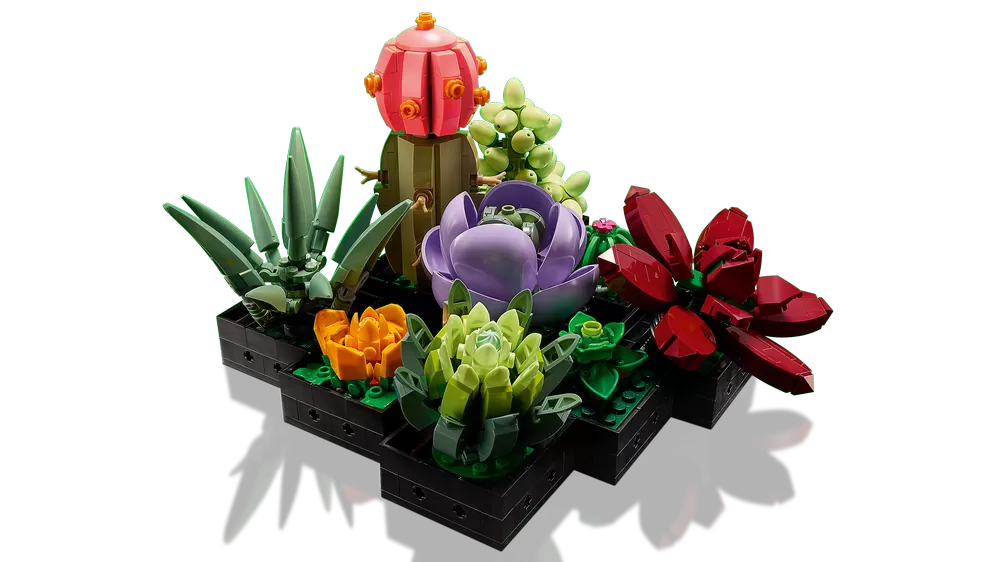 - SUCCULENTS 10309 PLANT DECOR BUILDING KIT