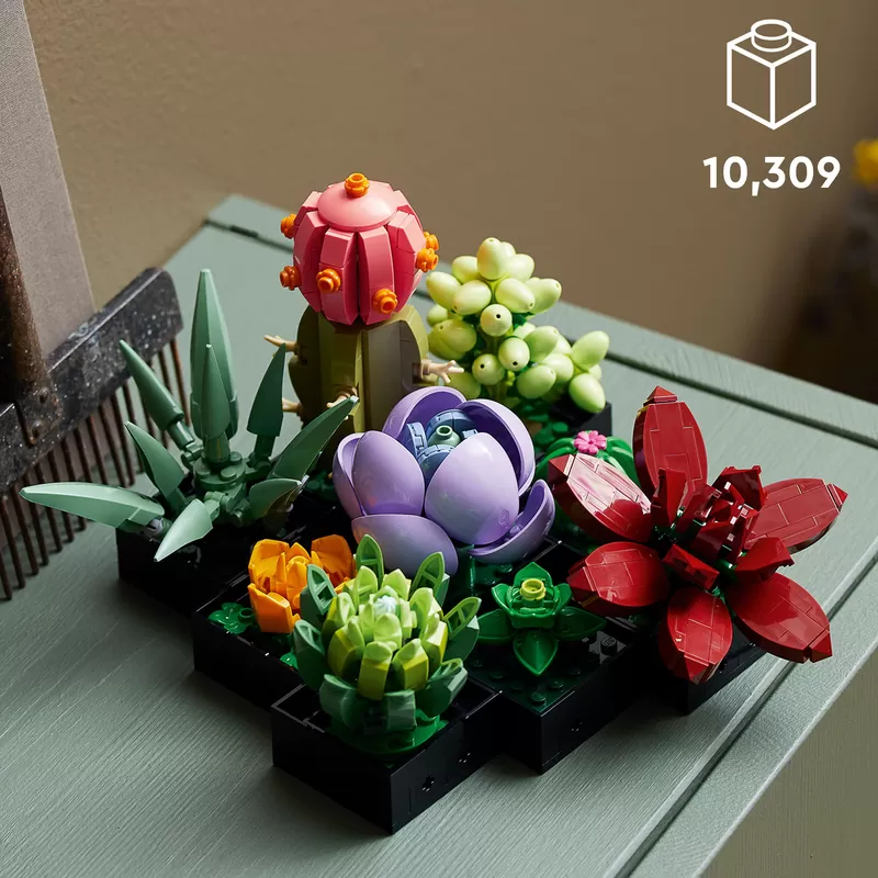- SUCCULENTS 10309 PLANT DECOR BUILDING KIT