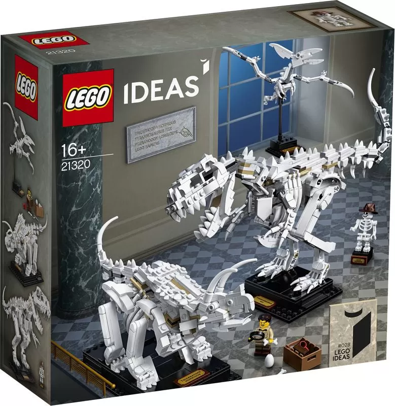 - 21320 IDEAS DINOSAUR FOSSILS