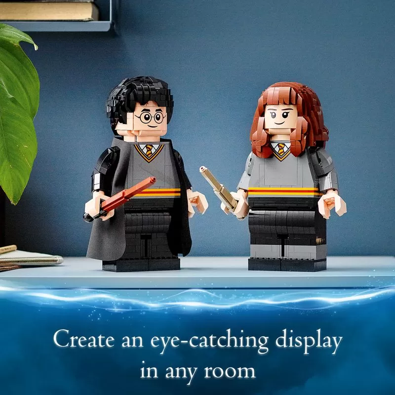 - 76393 HARRY POTTER HARRY POTTER & HERMIONE GRANGER