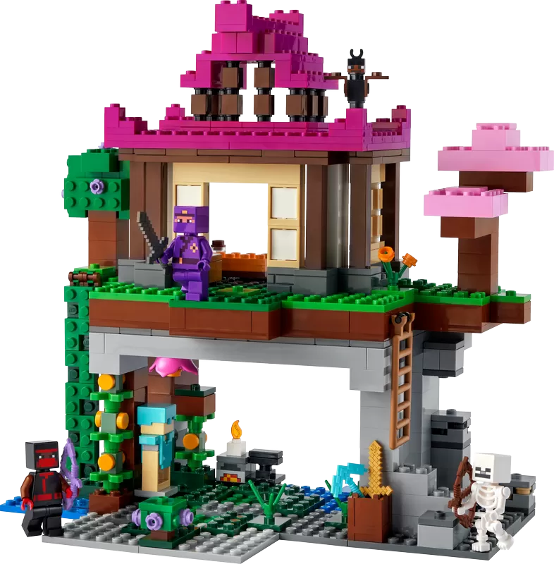 - MINECRAFT THE TRAINING GROUNDS 21183 BUILDING KIT