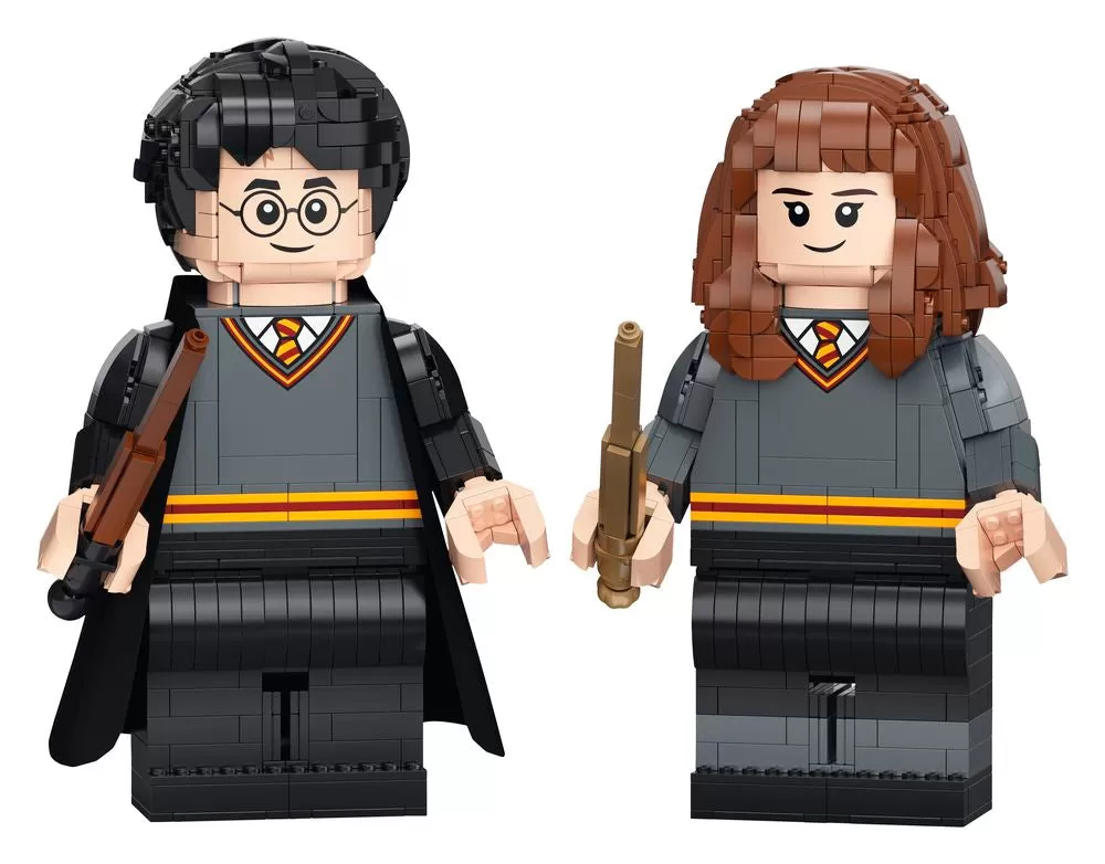 - 76393 HARRY POTTER HARRY POTTER & HERMIONE GRANGER