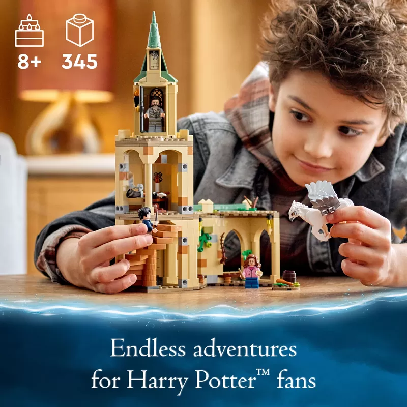 -® 76401 HARRY POTTERTM HOGWARTSTM COURTYARD: SIRIUS’S RESCUE BUILDING KIT