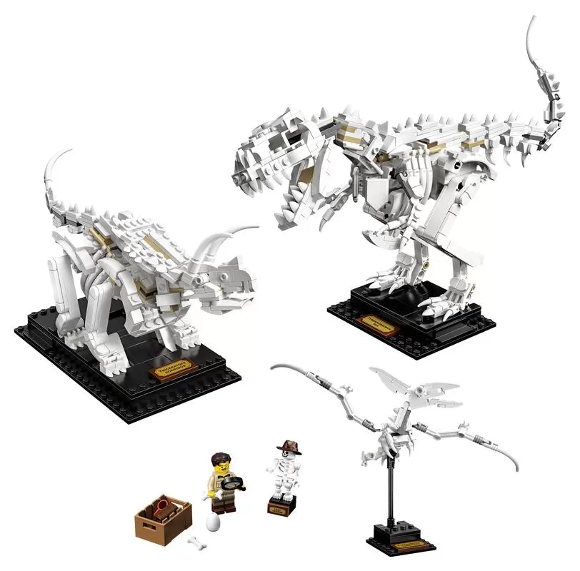 - 21320 IDEAS DINOSAUR FOSSILS