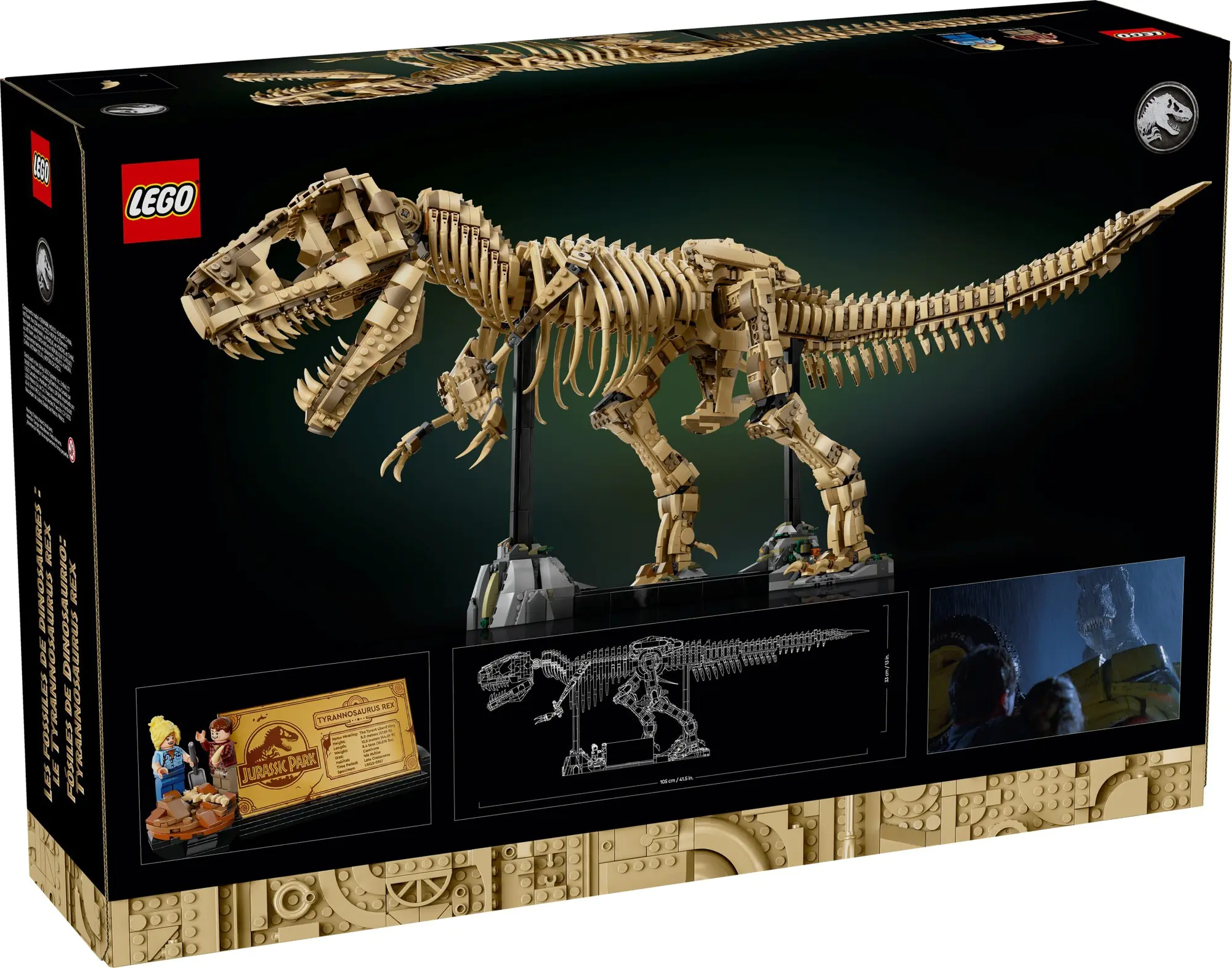 Dinosaur Fossils:Tyrannosaurus Rex 76968