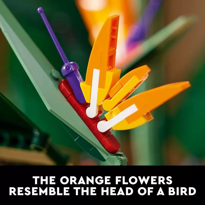 - 10289 ICONS BIRD OF PARADISE