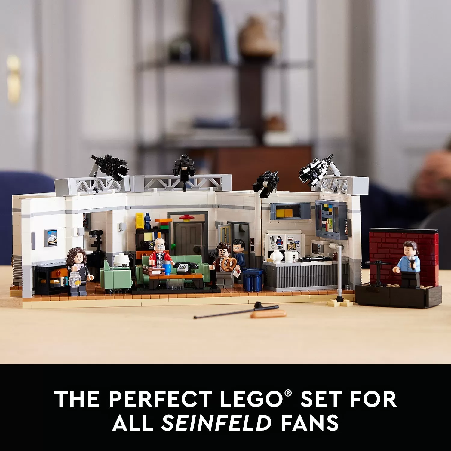 - 21328 SEINFELD