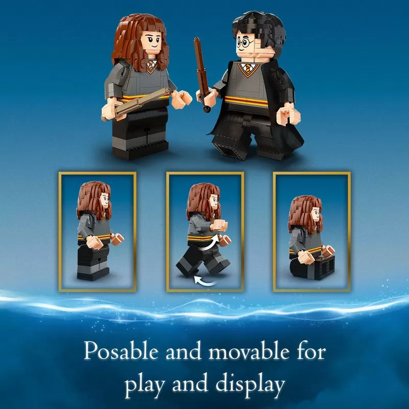 - 76393 HARRY POTTER HARRY POTTER & HERMIONE GRANGER