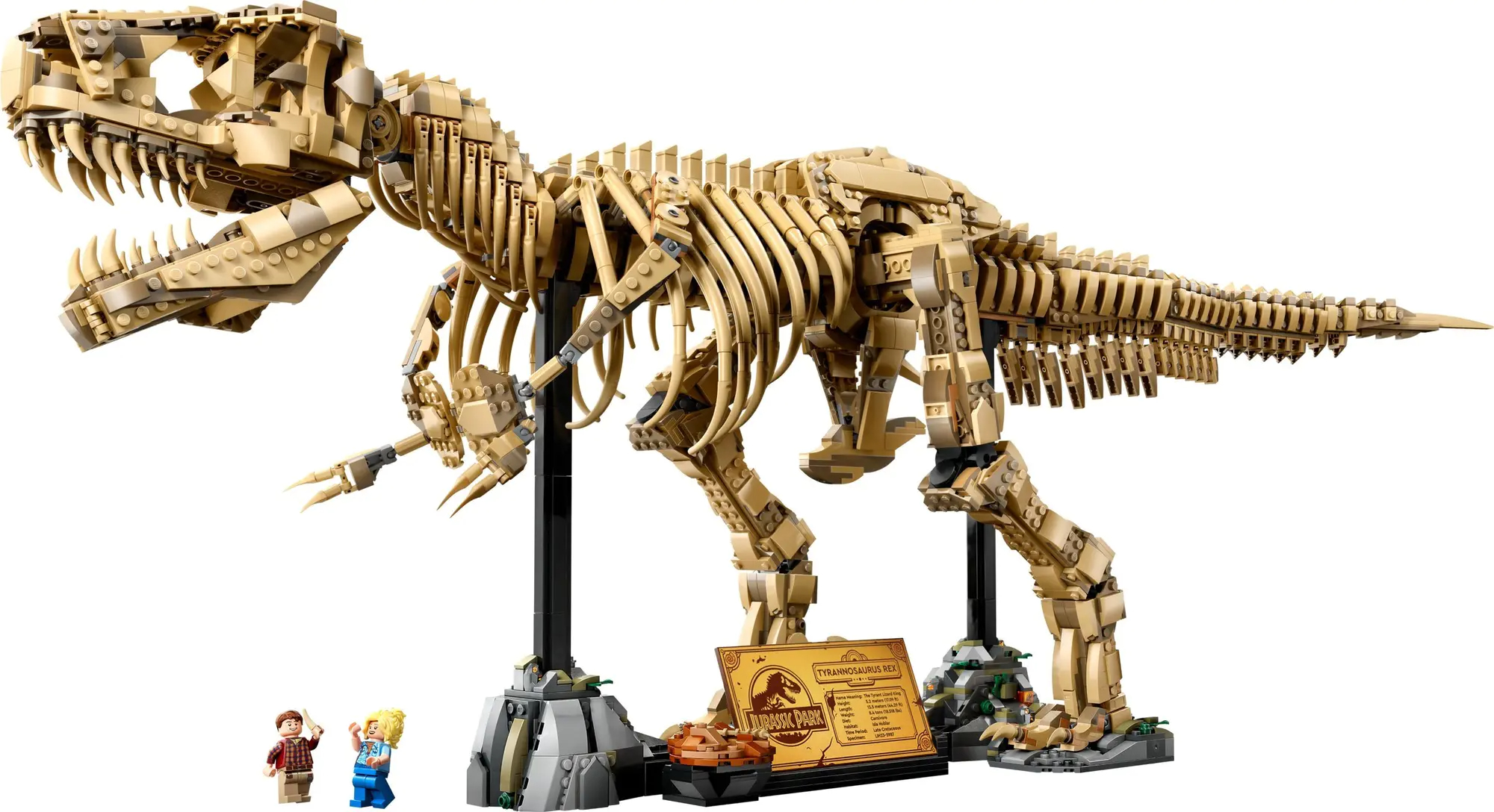 Dinosaur Fossils:Tyrannosaurus Rex 76968