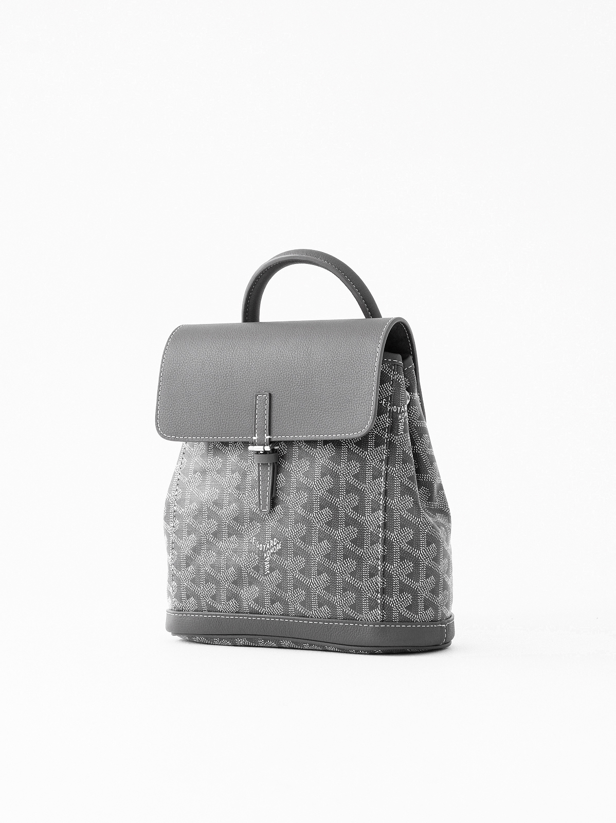 Goyard Alpin  mini