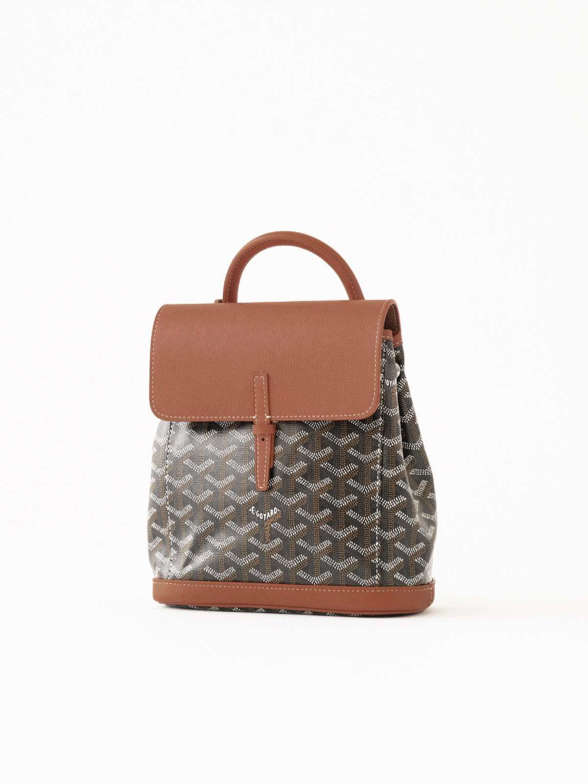 Goyard Alpin  mini