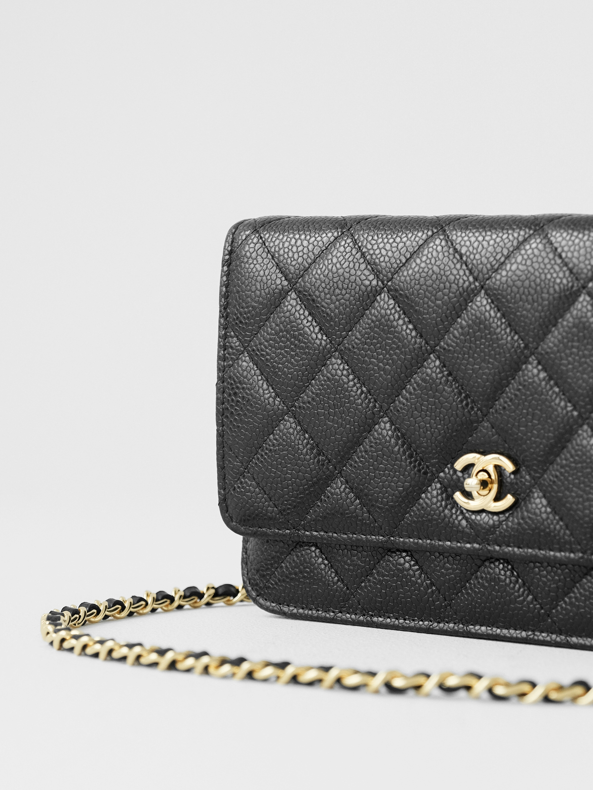 Black caviar gold buckle