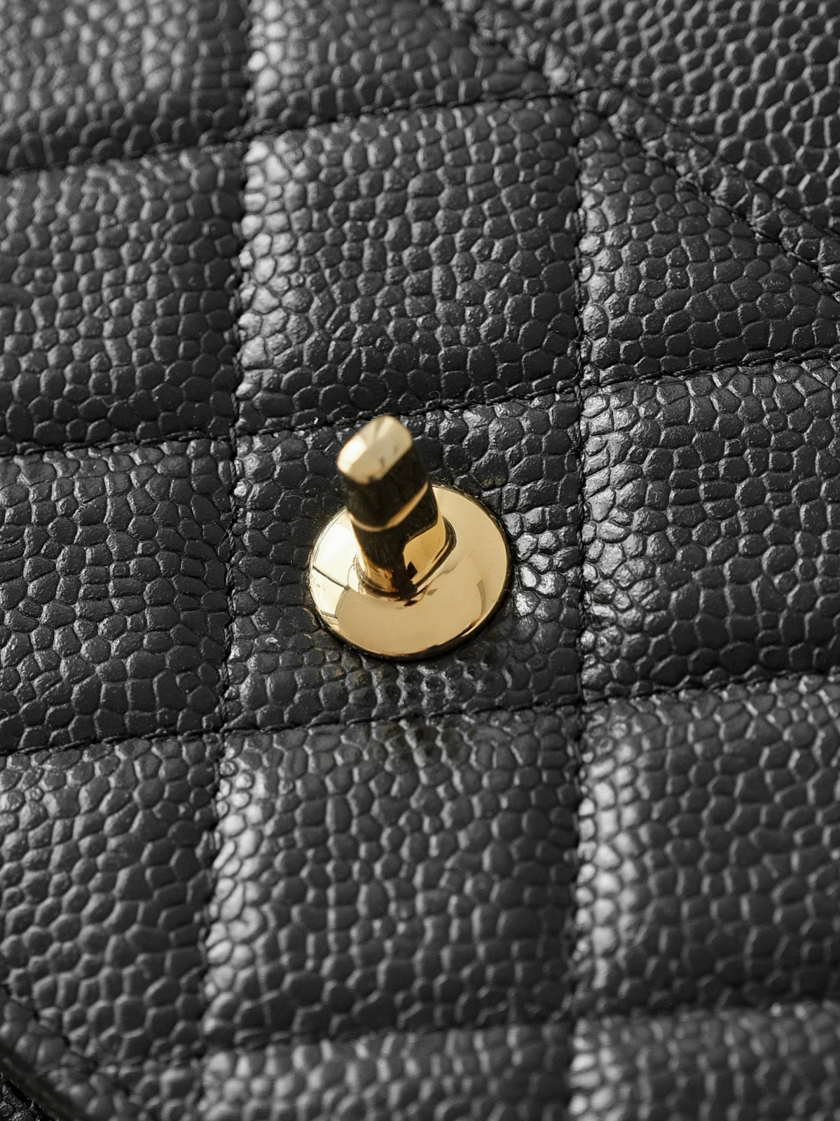Black caviar gold buckle