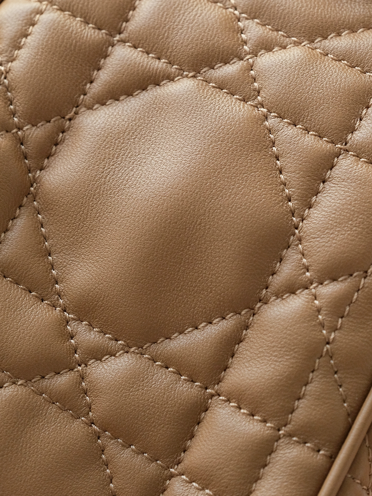 𝗗*𝗢𝗥 𝗗-𝗠𝗢𝗧𝗜𝗢𝗡 Small milk tea color