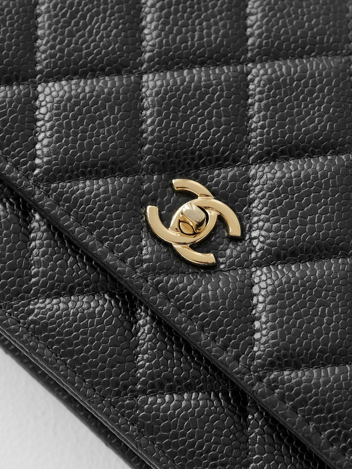 Black caviar gold buckle