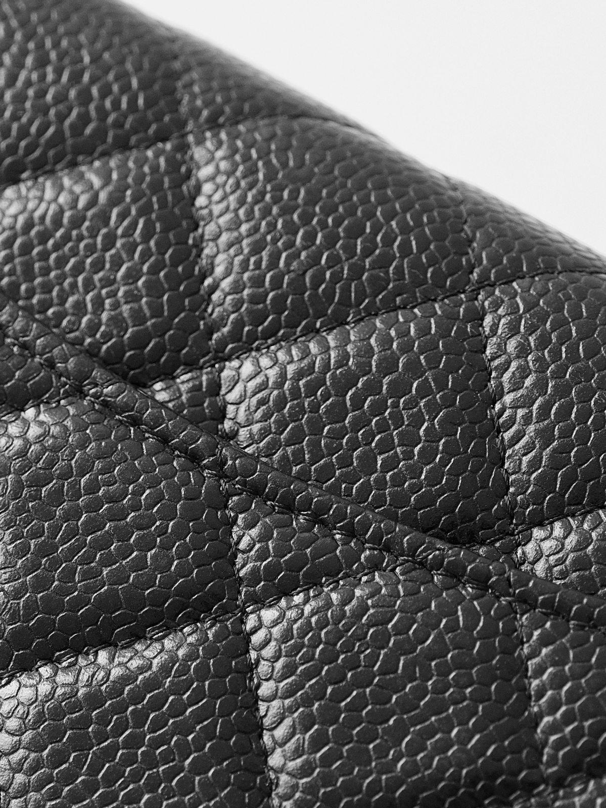 Black caviar gold buckle