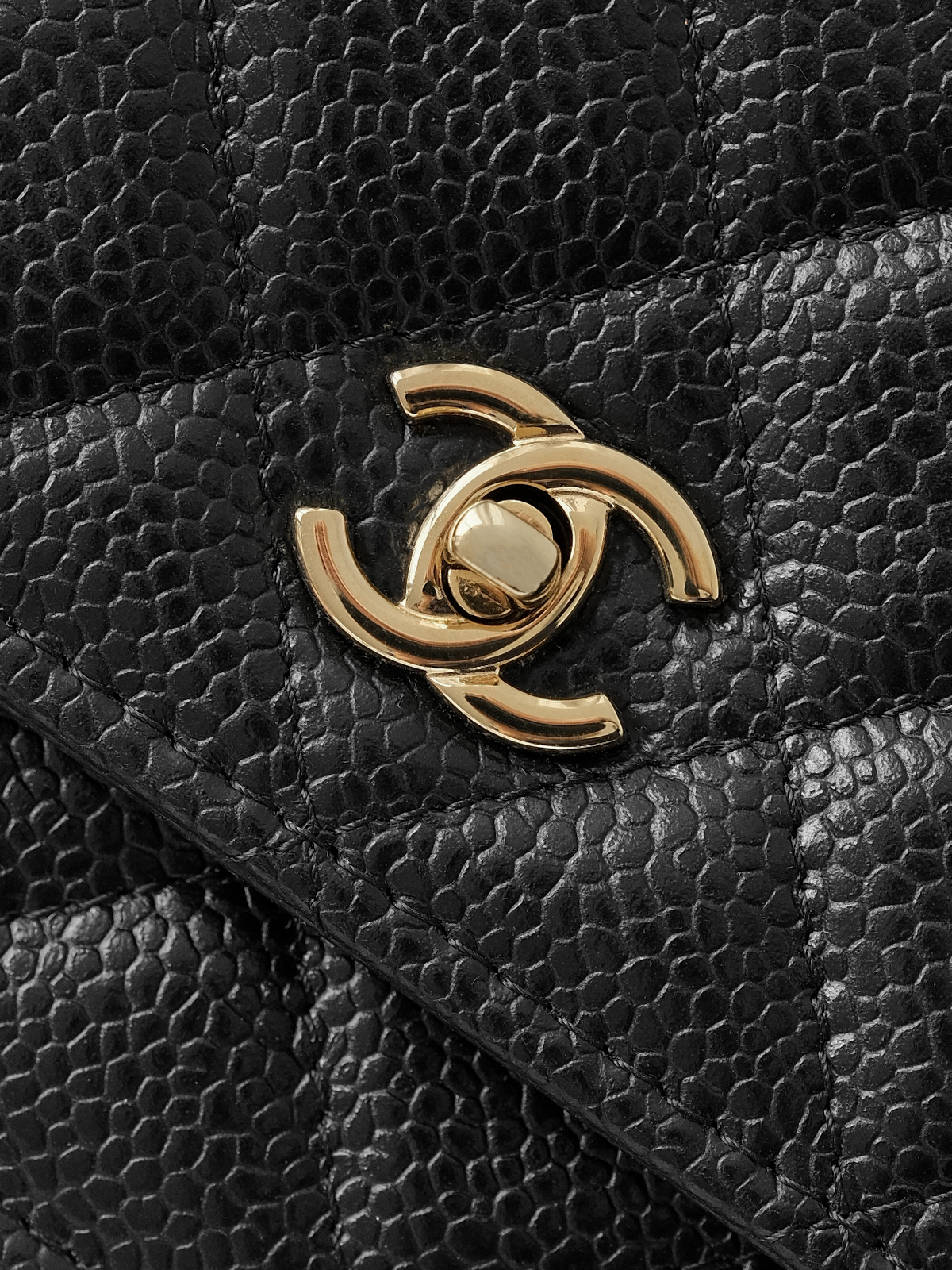 Black caviar gold buckle