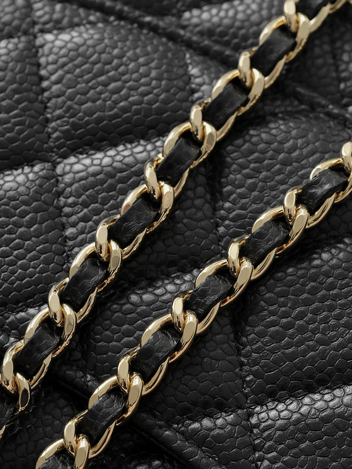 Black caviar gold buckle