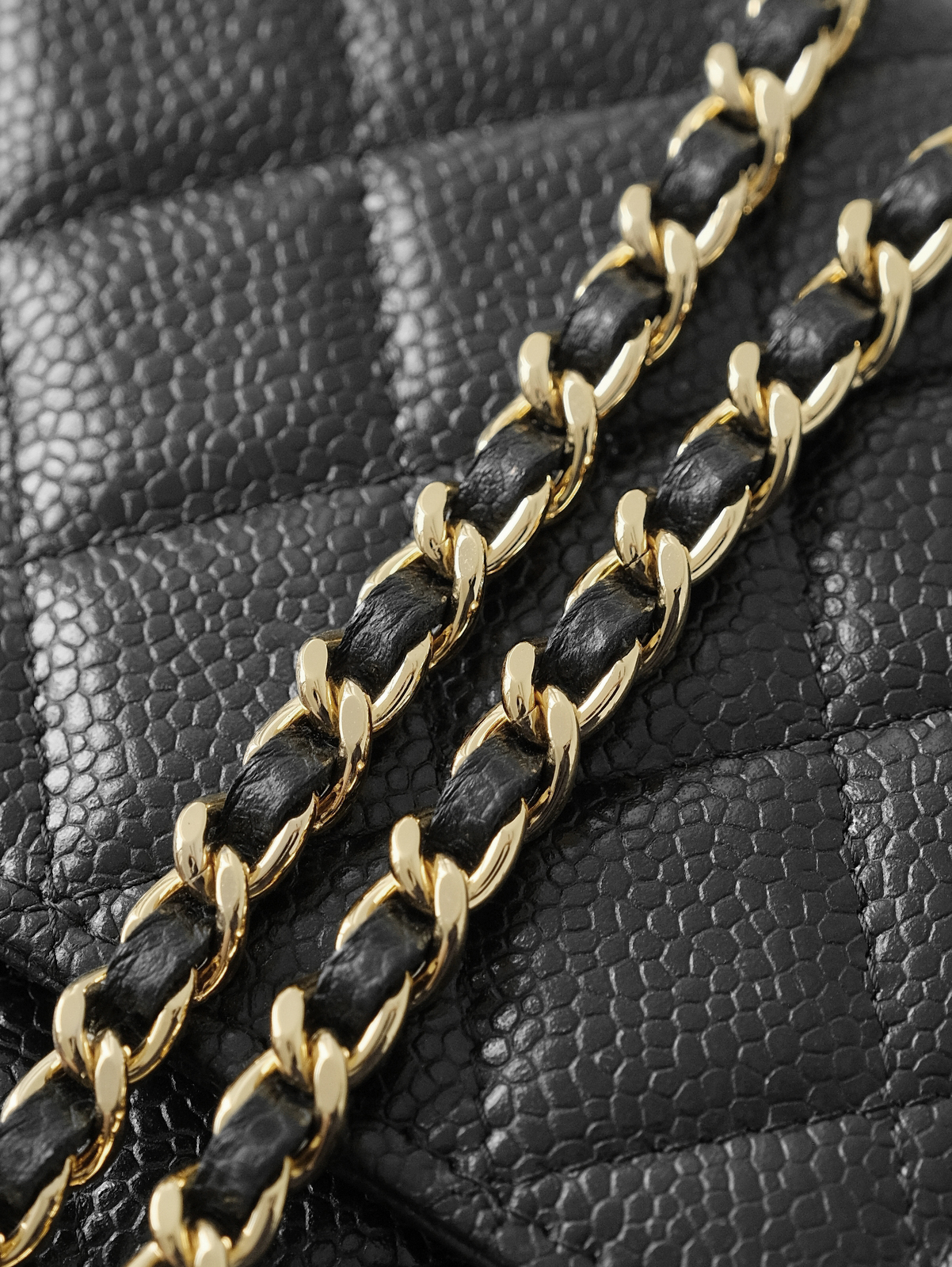 Black caviar gold buckle