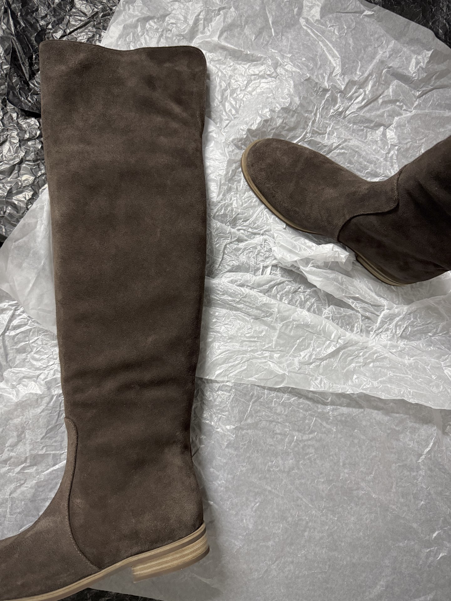 Gianvito Rossi Suede Over-the-Knee Boots