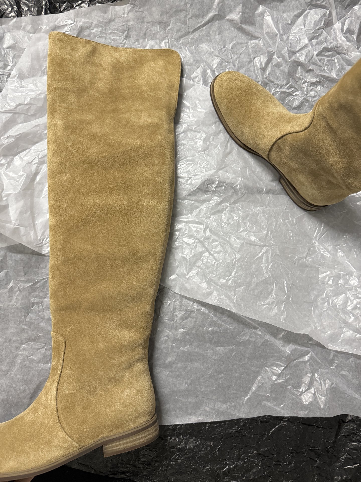 Gianvito Rossi Suede Over-the-Knee Boots