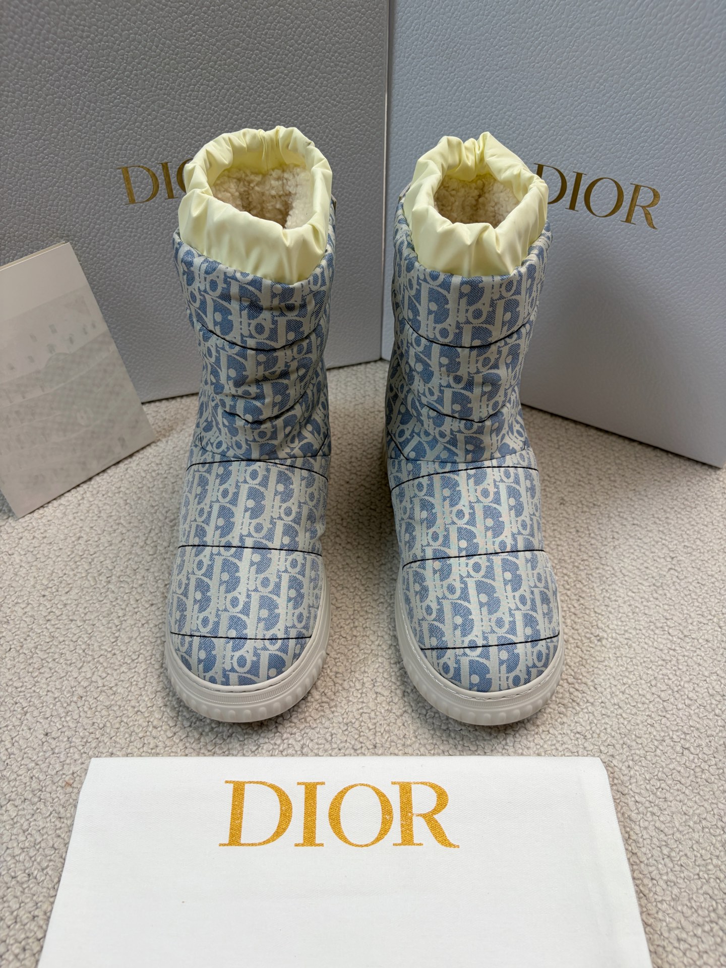Dior Alps25 Dior Frost Ankle Boots