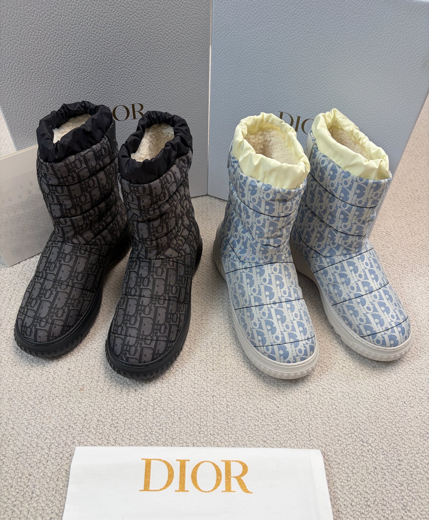 Dior Alps25 Dior Frost Ankle Boots