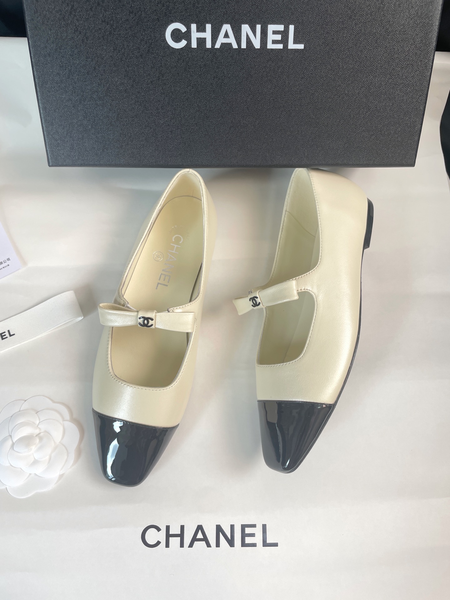 CHANEL Ballet Mary Jane Shoes