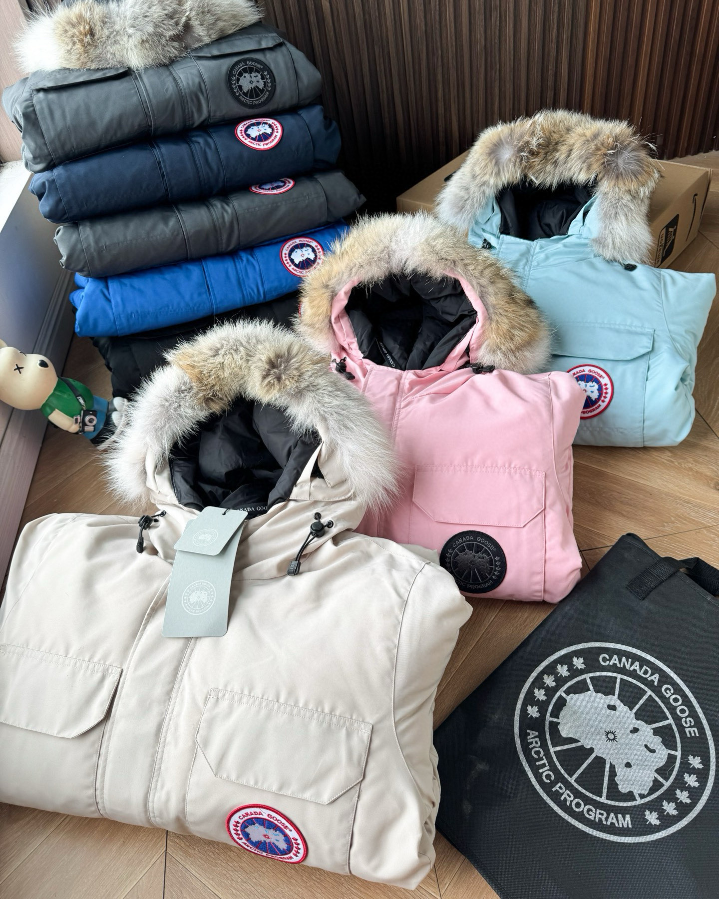 Canada Goose down jacket