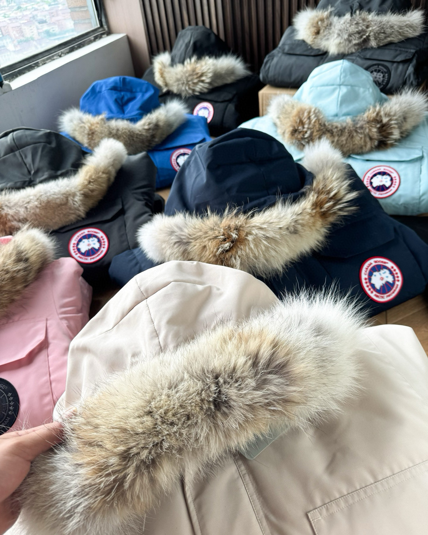 Canada Goose down jacket