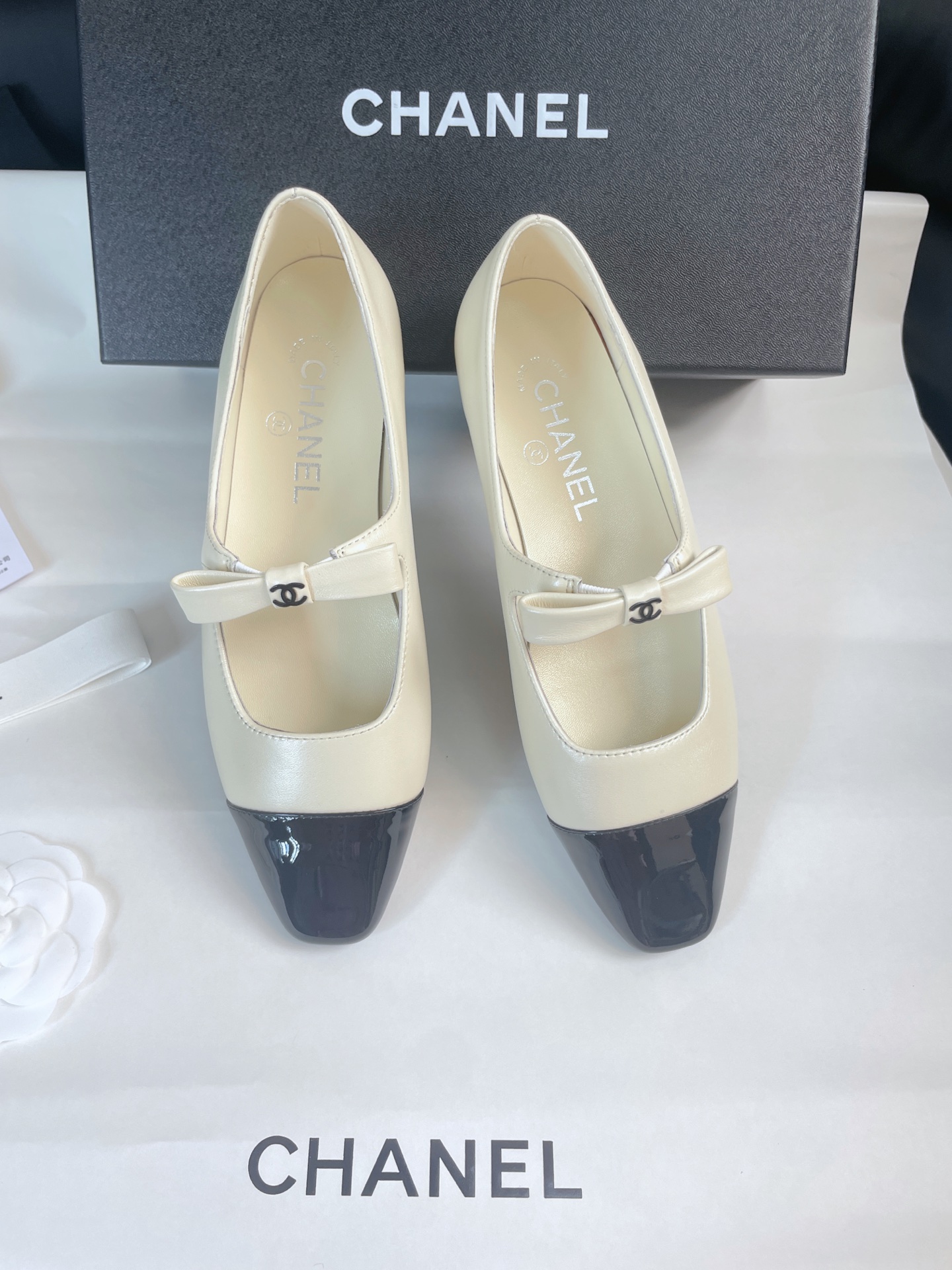 CHANEL Ballet Mary Jane Shoes