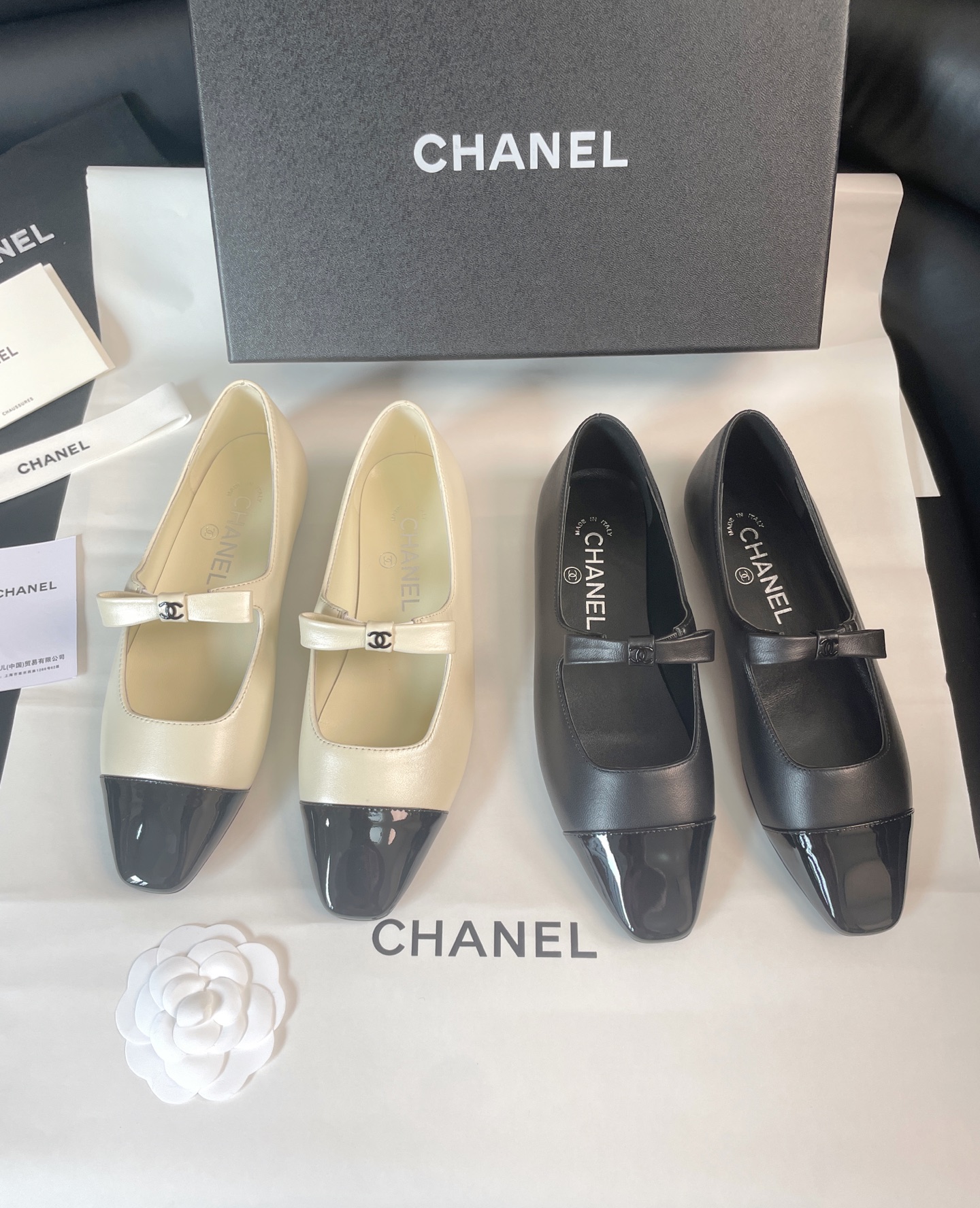 CHANEL Ballet Mary Jane Shoes