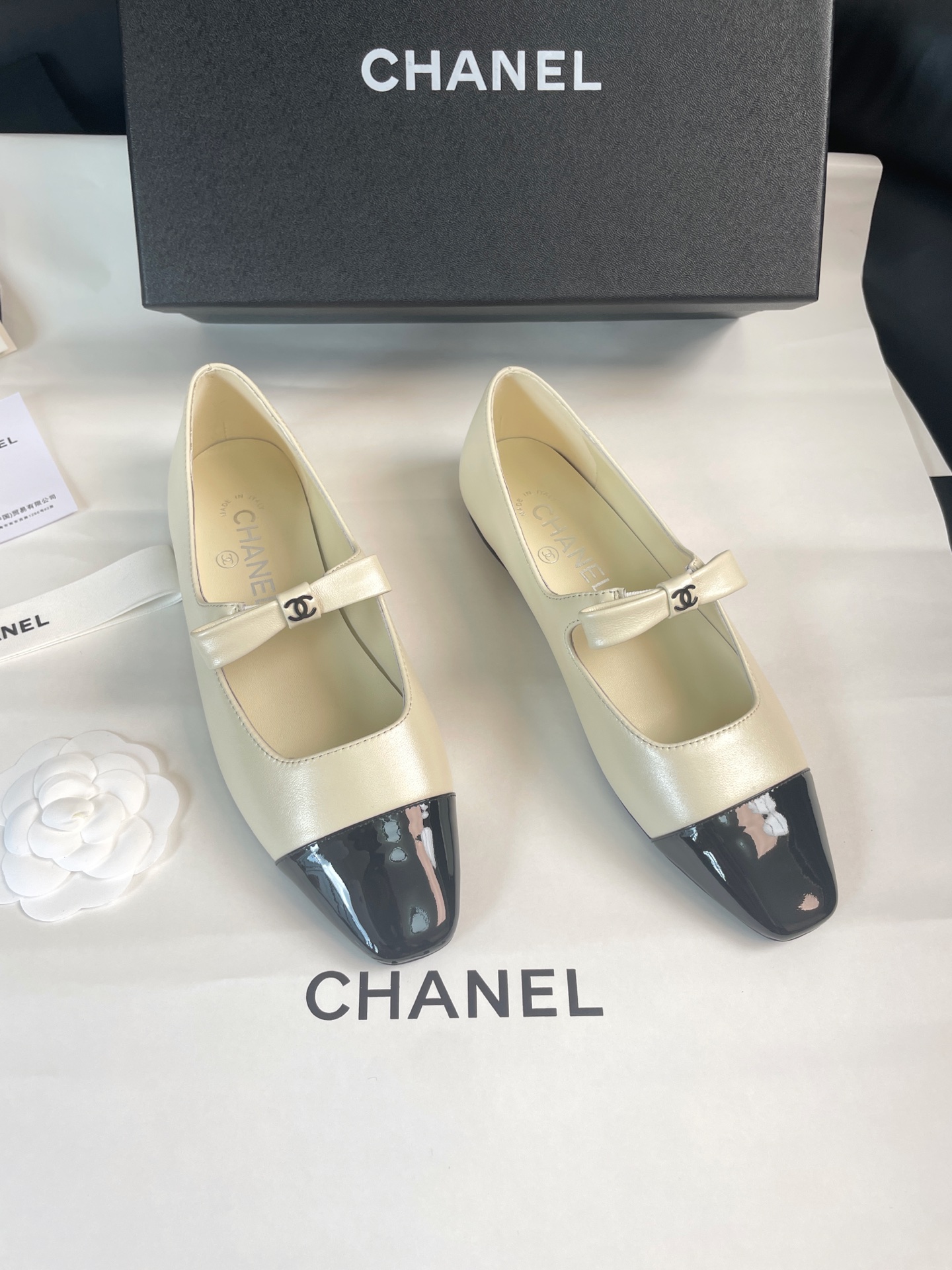 CHANEL Ballet Mary Jane Shoes