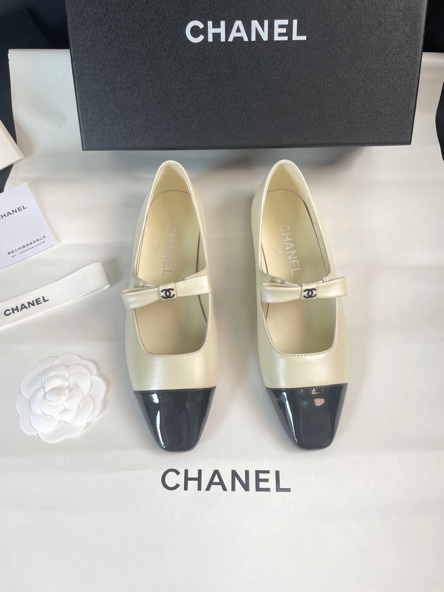 CHANEL Ballet Mary Jane Shoes