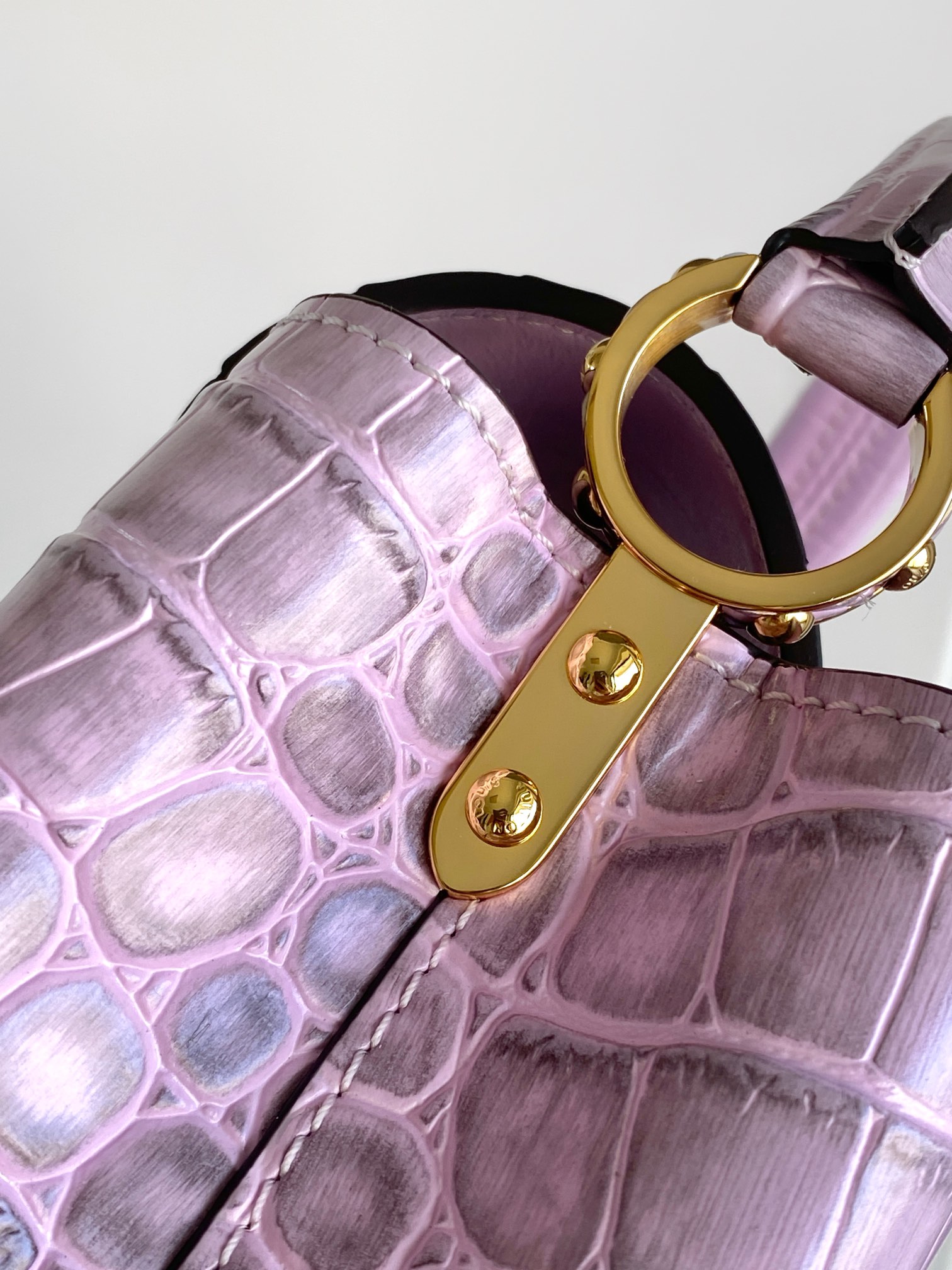 Louis Vuitton Capucines Series